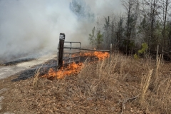 Photo-Feb-27-2025-1-13-33-PM